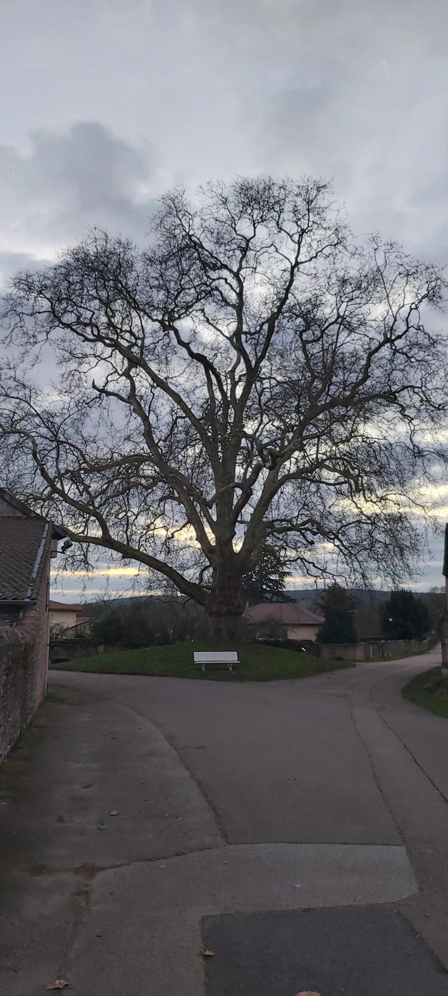 Le Gite Et Puits C'Est Tout Préty Pokój zdjęcie